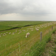 Residenz Hohe Lith 3.11, Cuxhaven Duhnen